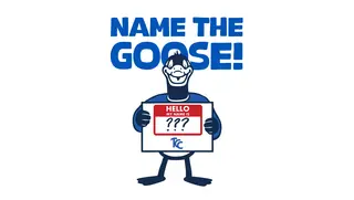 The Goose holds up a sign that says "Hello my name is ?"