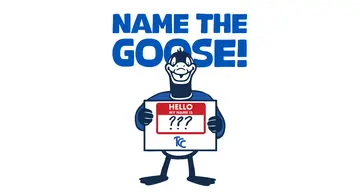 The Goose holds up a sign that says "Hello my name is ?"