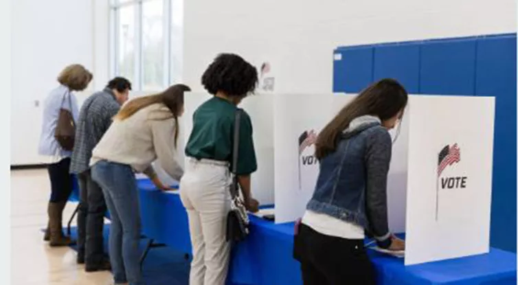 picture of people voting