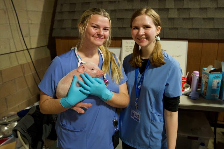 Students pose for a photo with a piglet