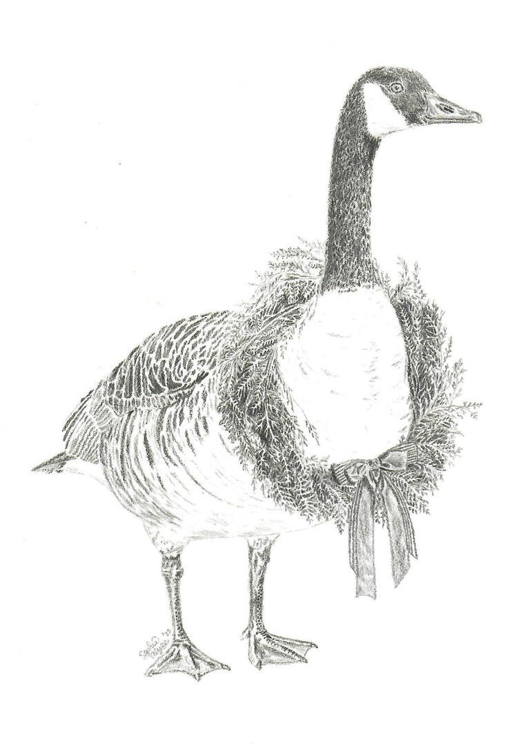 Festive Feathers is a detailed pencil drawing of a Canada goose with a holiday wreath around its neck.